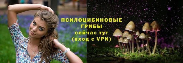 a pvp Абдулино