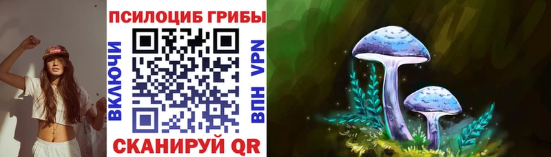 гидра онион  Тында  shop состав  Галлюциногенные грибы Magic Shrooms 